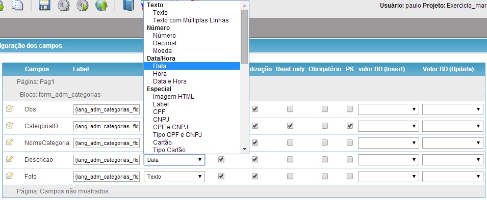 Configurando campo do tipo data em formulários